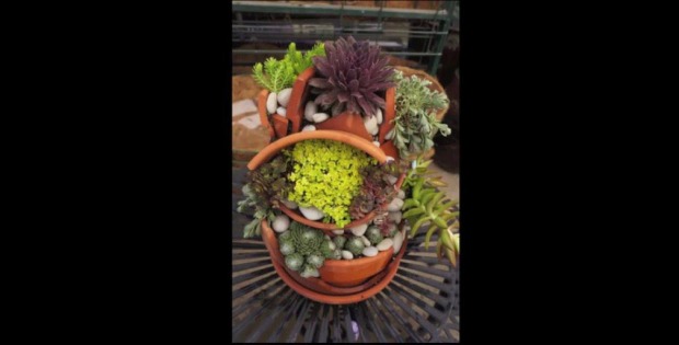 succulent garden from broken pots